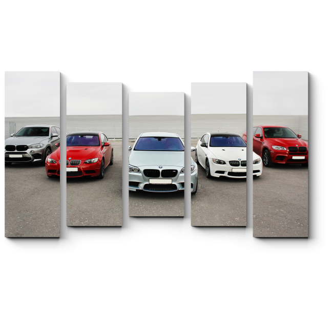 BMW Модульная картина BMW