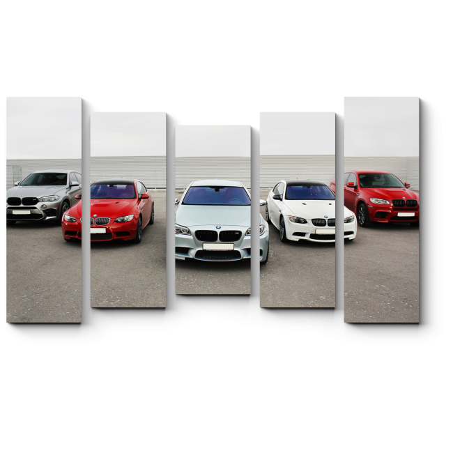 Модульная картина Автомобили BMW
