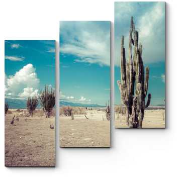 Модульная картина Кактус в пустыне
