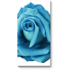 Модульная картина Голубая роза