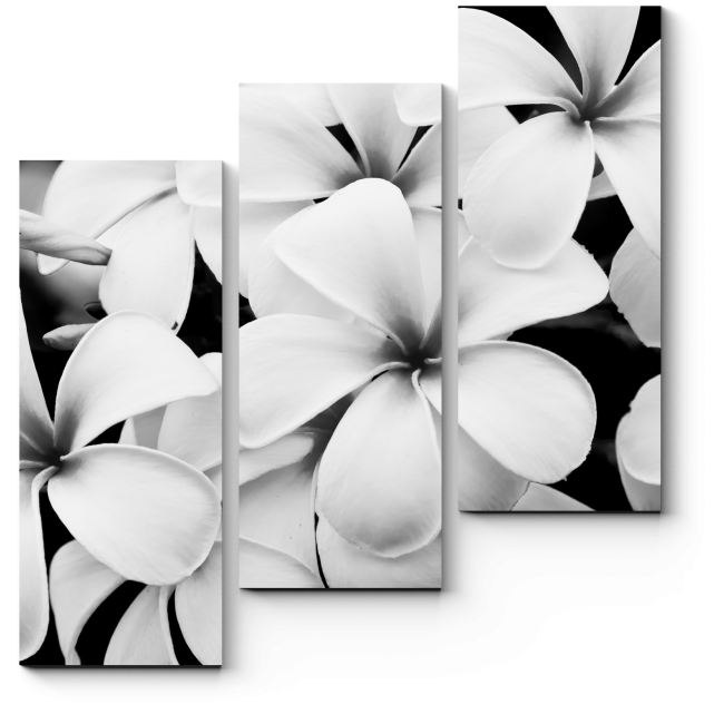 Модульная картина Лаконичные цветы