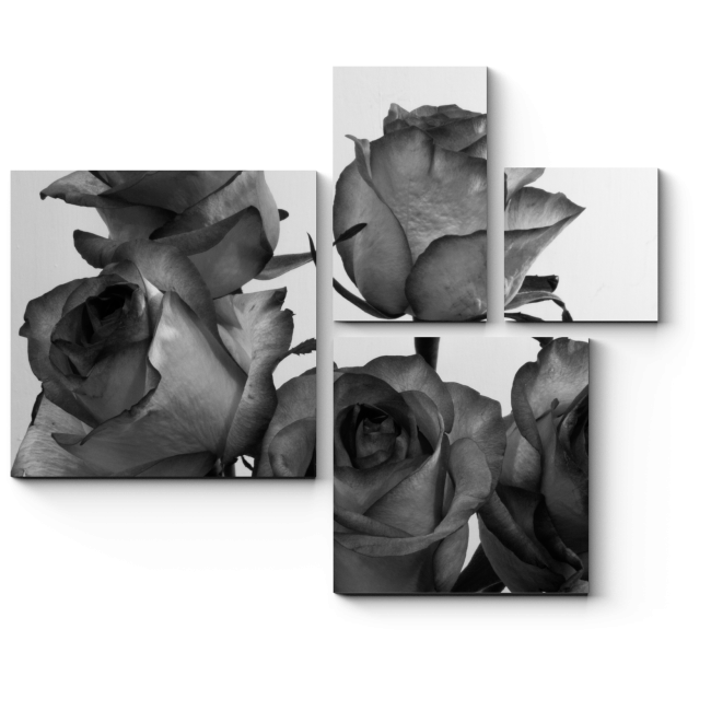 Модульная картина Красота роз