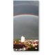 Модульная картина Двойная радуга над городом