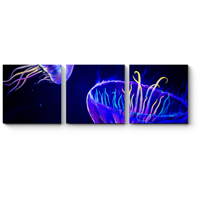 Модульная картина Сияющие медузы