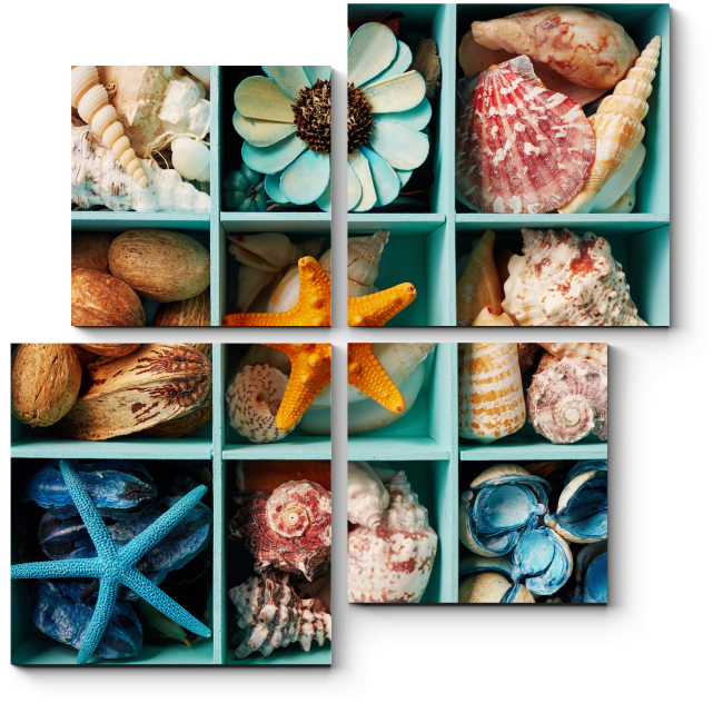 Модульная картина Коробочка с морскими сокровищами