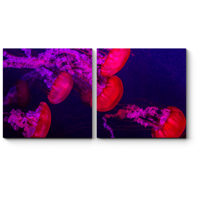 Модульная картина Стая медуз