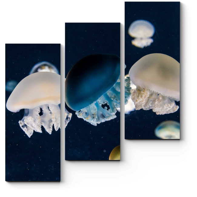 Модульная картина Красивые медузы