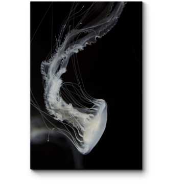 Модульная картина Белая медуза