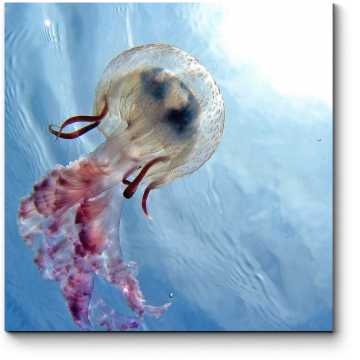 Модульная картина Прекрасная медуза