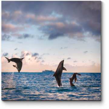 Модульная картина Купание с дельфинами