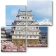 Модульная картина Himeji Castle and full cherry blossom