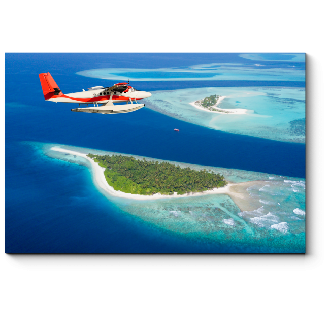 Модульная картина Летающий над Мальдивами
