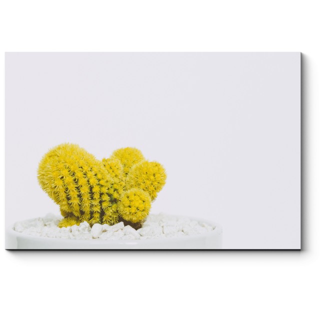 Модульная картина Желтый кактус