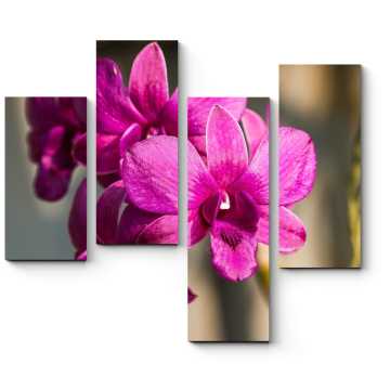 Модульная картина Королева цветов - прекрасная орхидея