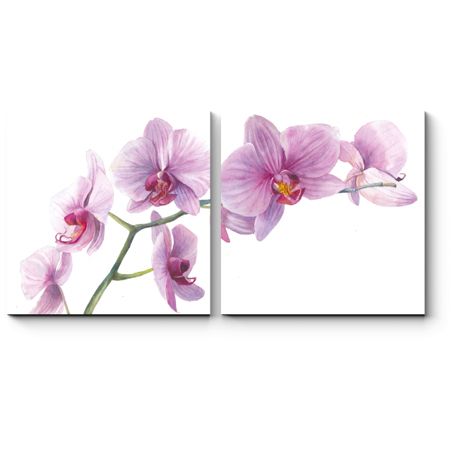 Модульная картина Ветка чудесной орхидеи