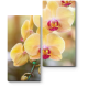Модульная картина Чарующая орхидея 