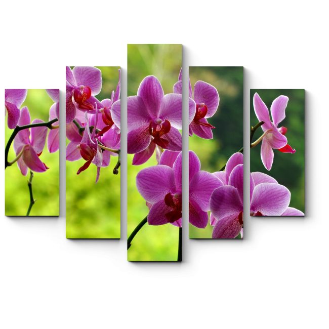 Модульная картина Неподражаемые орхидеи