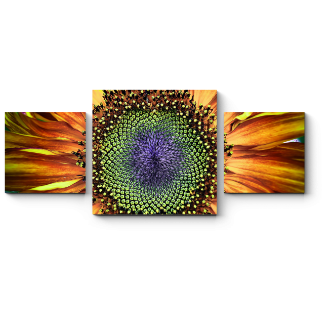 Модульная картина Внутри цветка солнца