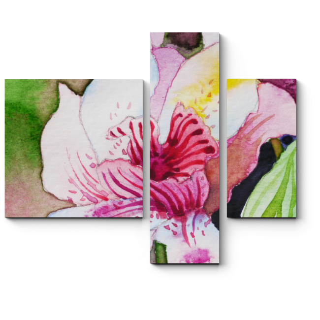 Модульная картина Изумительные переходы цвета орхидеи