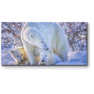 Модульная картина Семейная прогулка полярных медведей