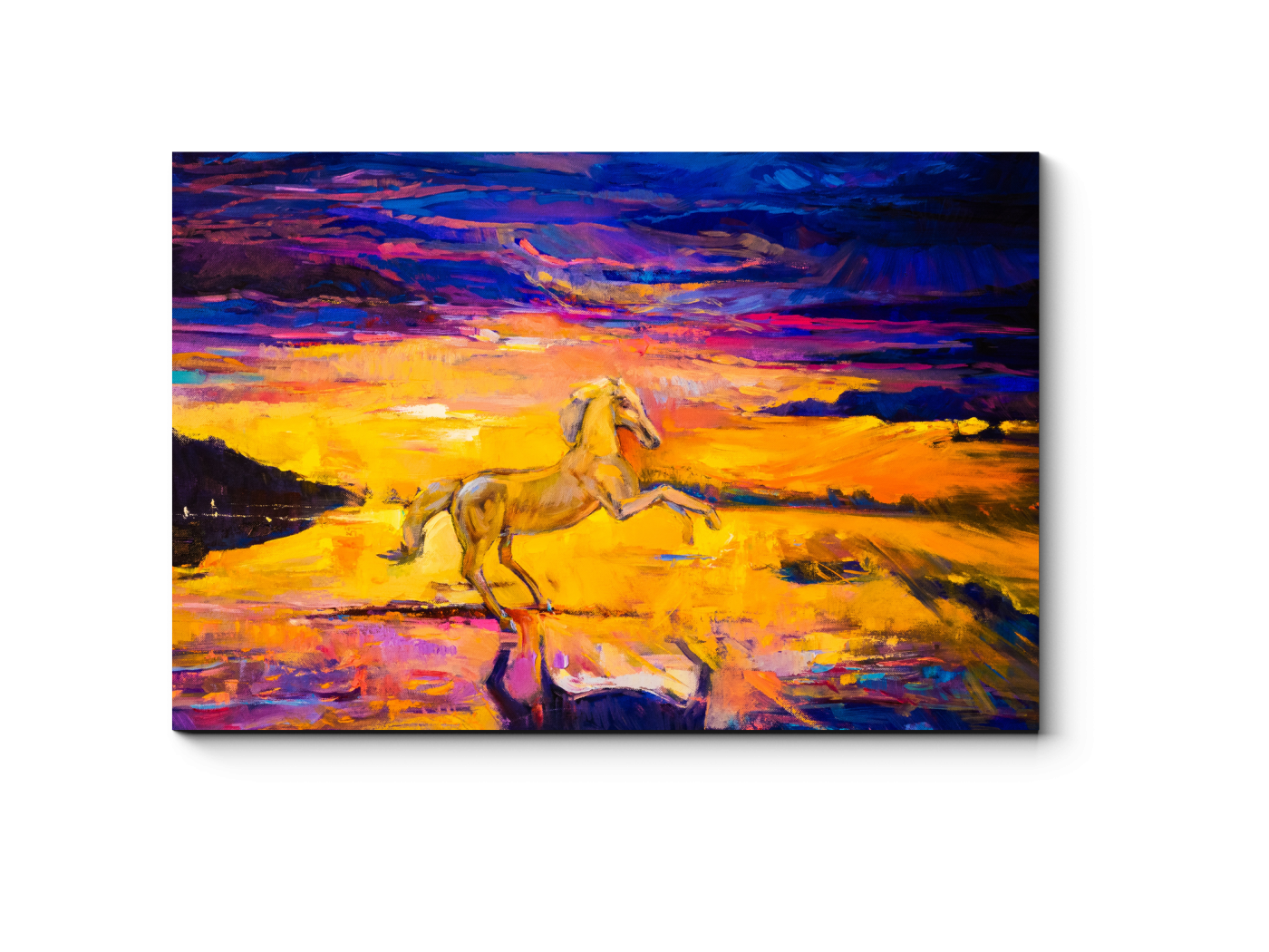 

Модульная картина Picsis, Одинокий жеребец, масло (20x20)