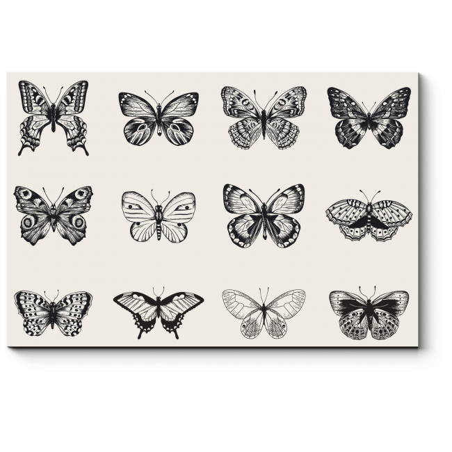 Модульная картина Черно-белые бабочки