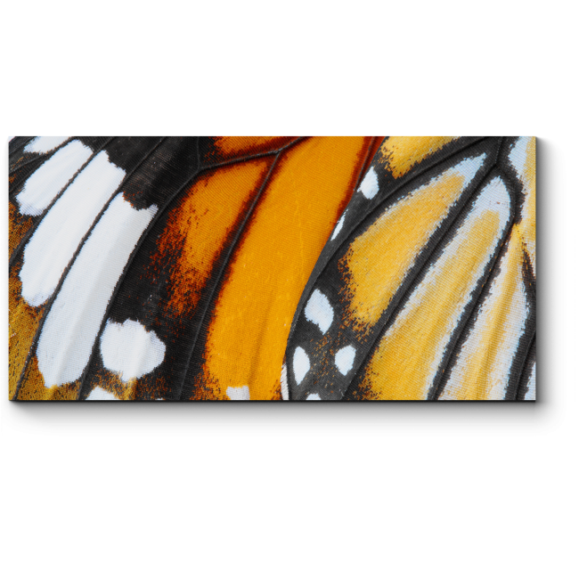Модульная картина Крылья бабочки