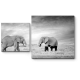 Слоны в национальном парке