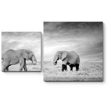 Модульная картина Слоны в национальном парке