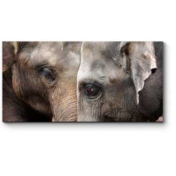 Модульная картина Любовь слонов