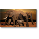Семейная прогулка слонов