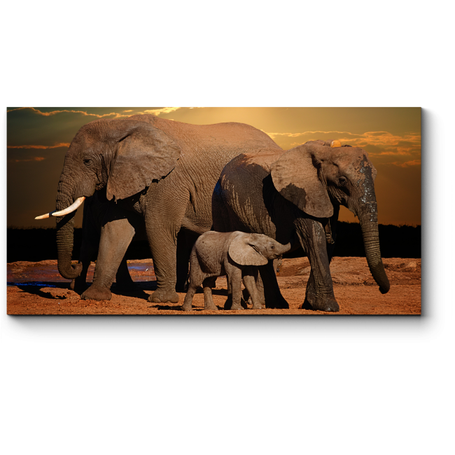Модульная картина Семейная прогулка слонов