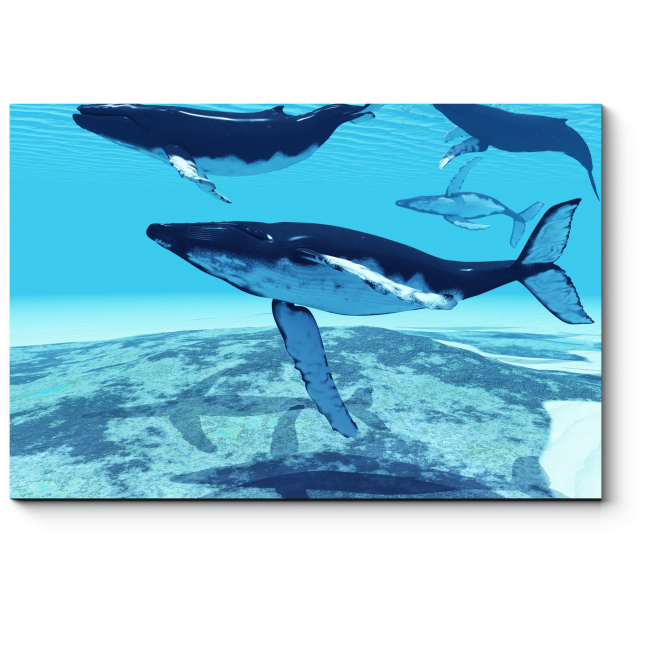 Модульная картина Миграция китов
