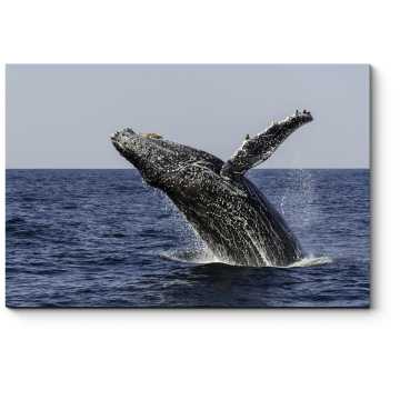 Модульная картина Прыжок кита