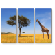 Модульная картина Одинокий африканский жираф 