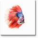 Модульная картина Красно-синяя рыбка