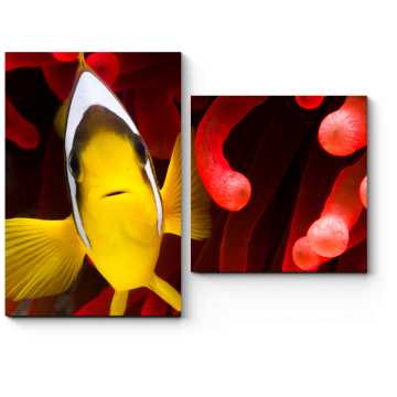 Модульная картина Рыбка в кораллах