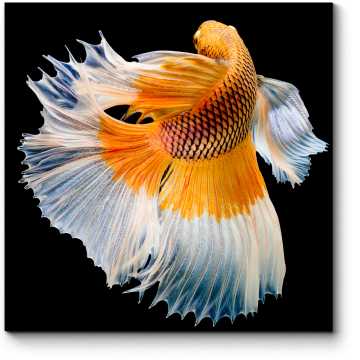 Модульная картина Золотая рыбка