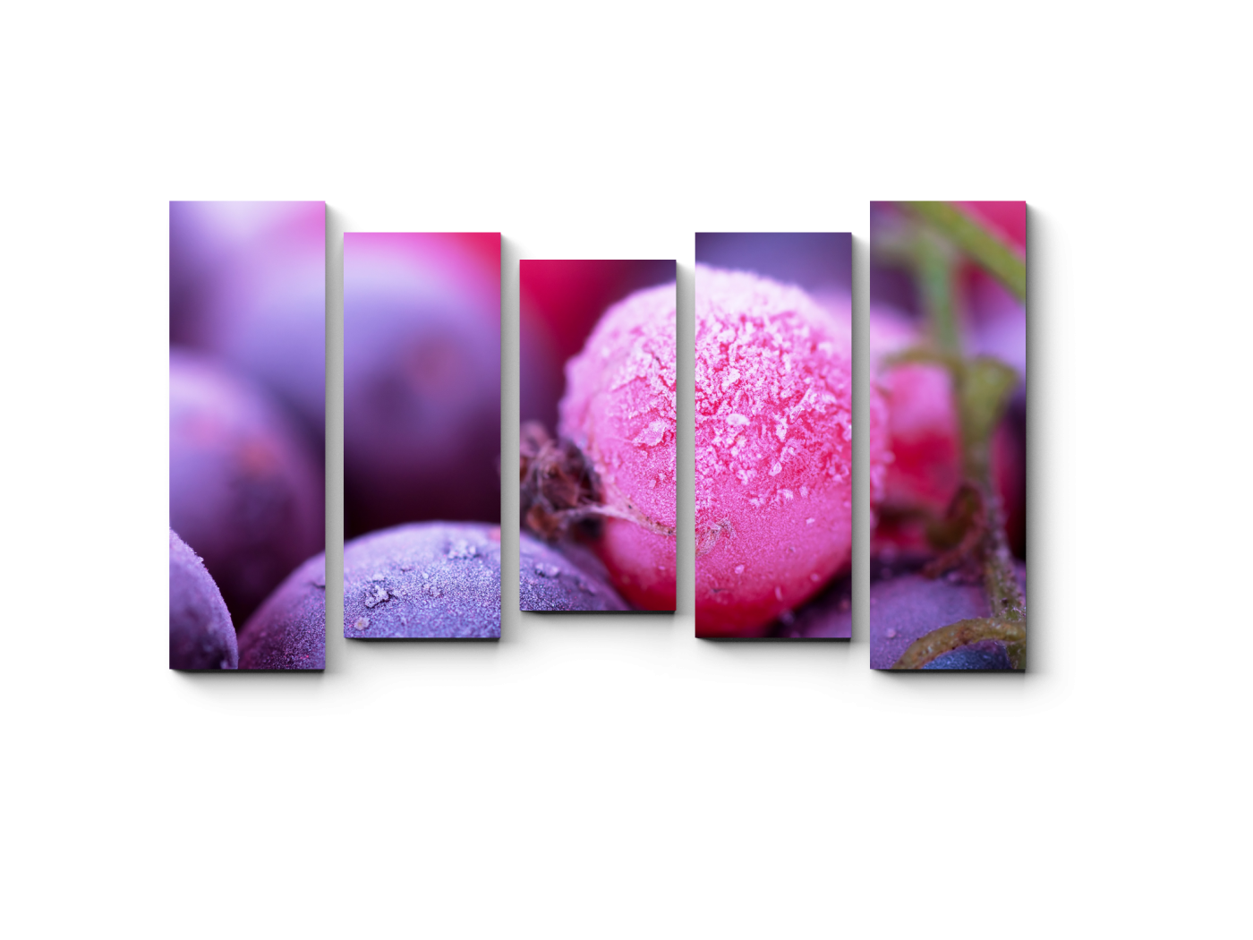 

Модульная картина Picsis, Ягодный лед (20x20)
