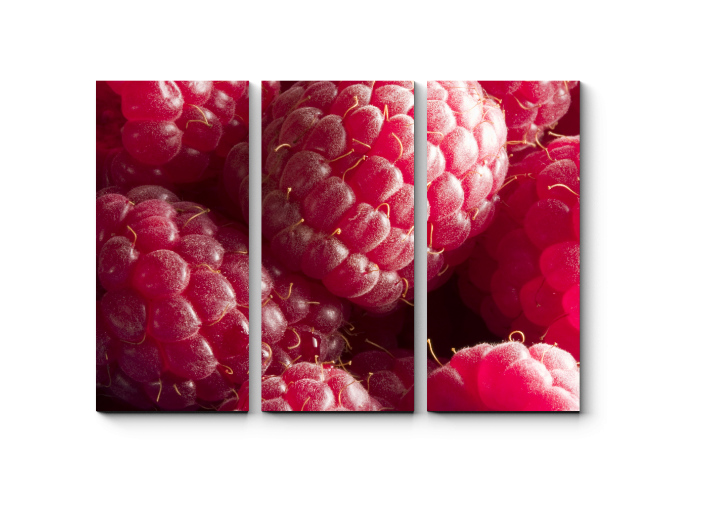 

Модульная картина Picsis, Малиновые сны (20x20)