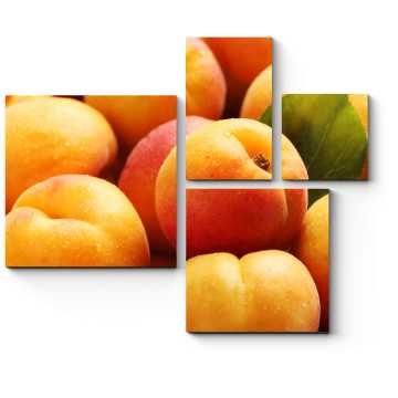 Модульная картина Румяные абрикосы