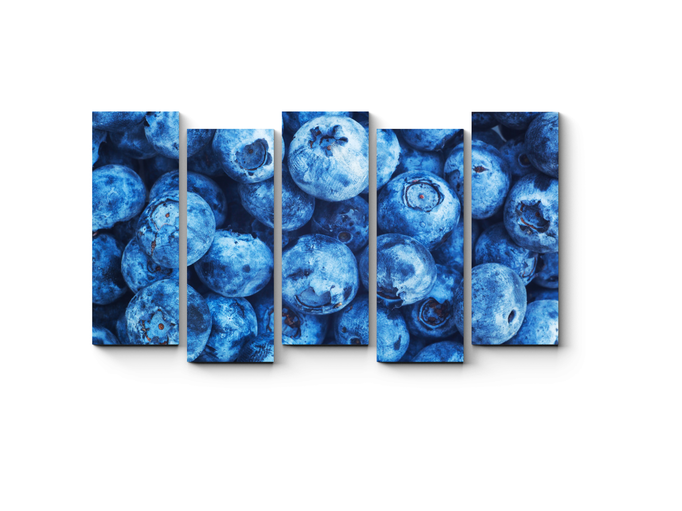 

Модульная картина Picsis, Голубика макро (20x20)