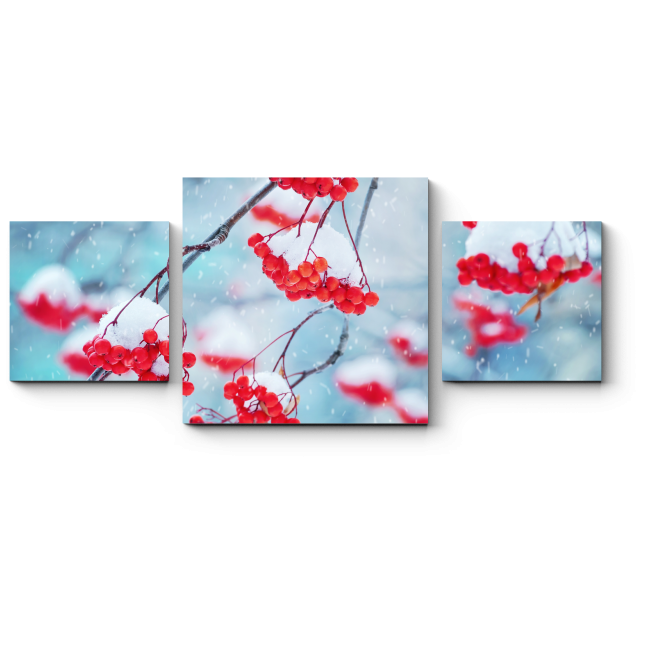 Модульная картина Первый снег укутывает спелые ягоды рябины