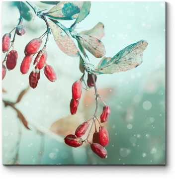 Модульная картина Красные ягоды, припорошенные снежком