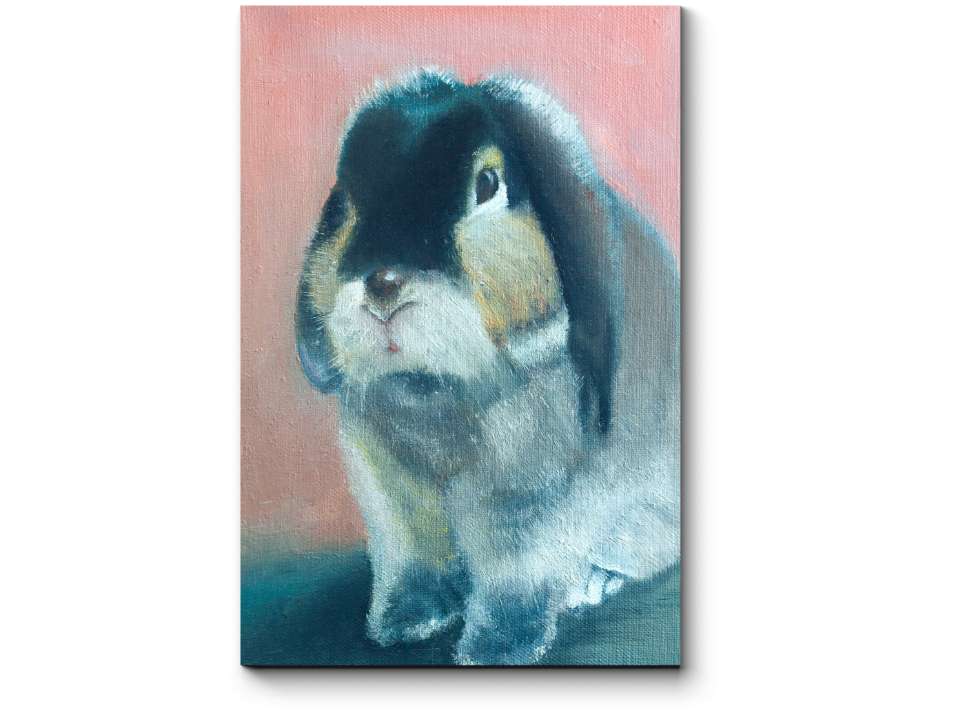

Модульная картина Picsis, Крольчонок (20x20)