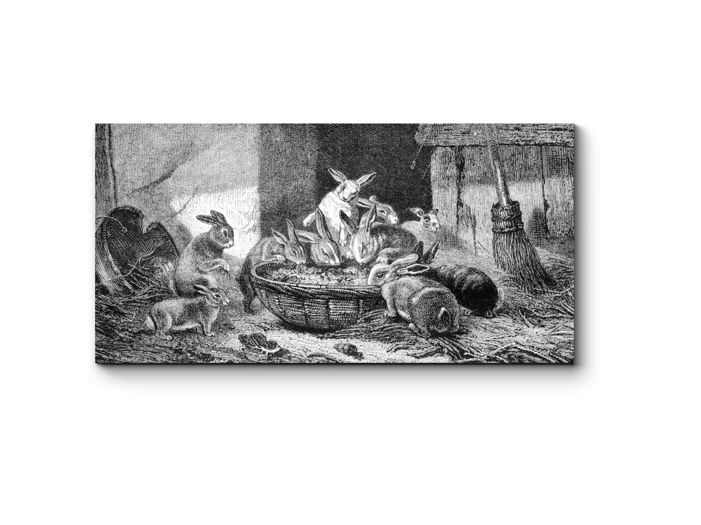 

Модульная картина Picsis, Семейный обед кроликов (60x45)