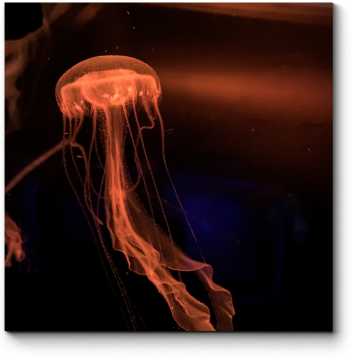 Модульная картина Красная-прекрасная медуза
