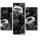 Модульная картина Черно-белые медузы