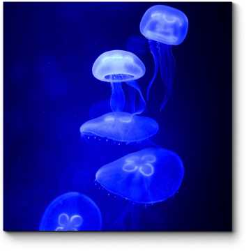 Модульная картина Медузы плывущие к свету