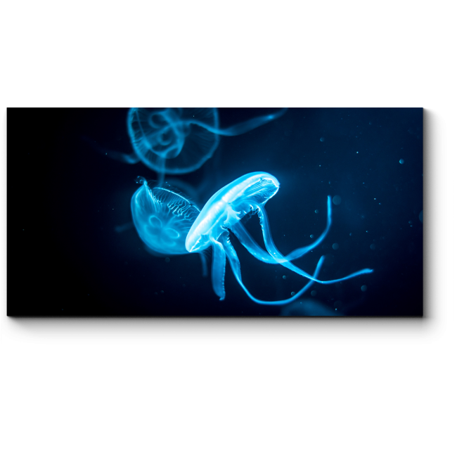 Модульная картина Неоновый танец медуз под водой